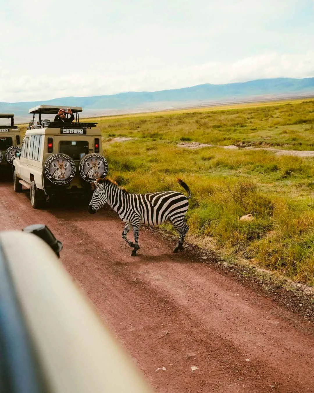 SAFARI-PARA-FAMILIAS-TANZANIA