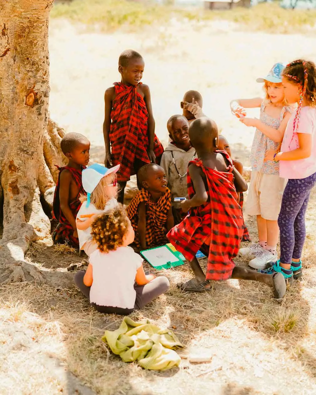 Tanzania con niños pequeños consejos antes de ir
