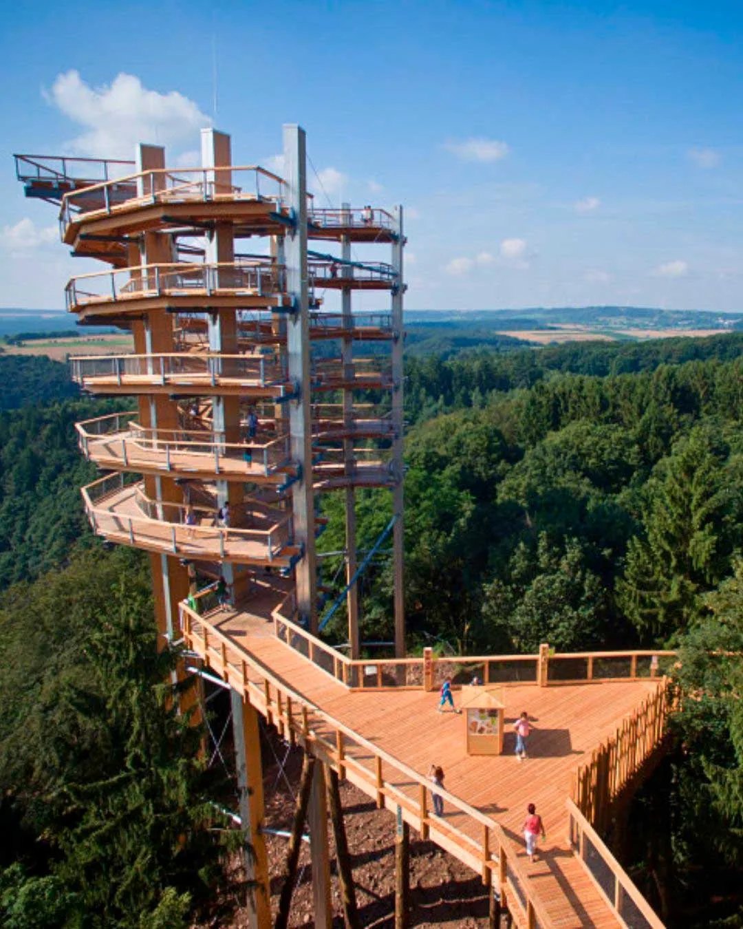 Selva Negra con niños Tree Top Wlak