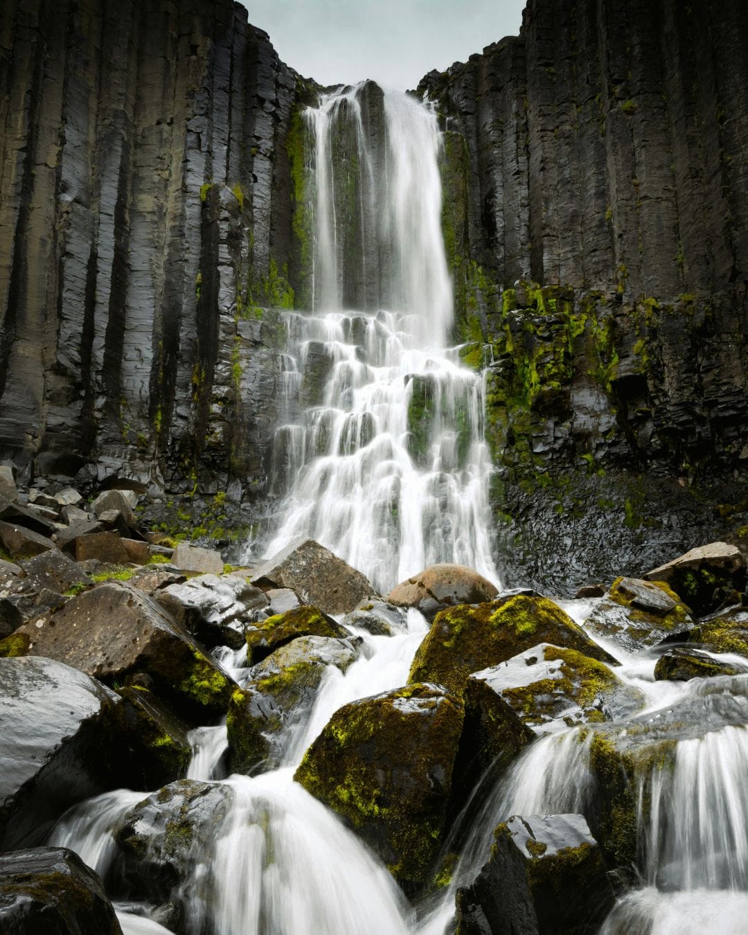 viajes grupales para familias a Islandia